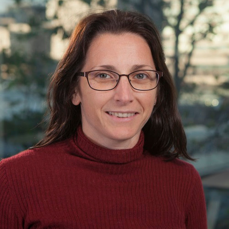 Soledad Galli | Data Scientist @ Train in Data Logo