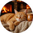 0oH74A2XbRw-channel-avatar-Meow Melodies Music