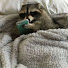 oL_K3-rMa44-channel-avatar-Sleepy coffee