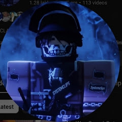 SYSTEMCLIPSの画像