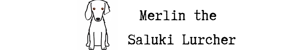 Merlin the Saluki Lurcher Avatar de chaîne YouTube