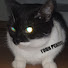 RFPjEsiJzOY-channel-avatar-Nikitosplayreal