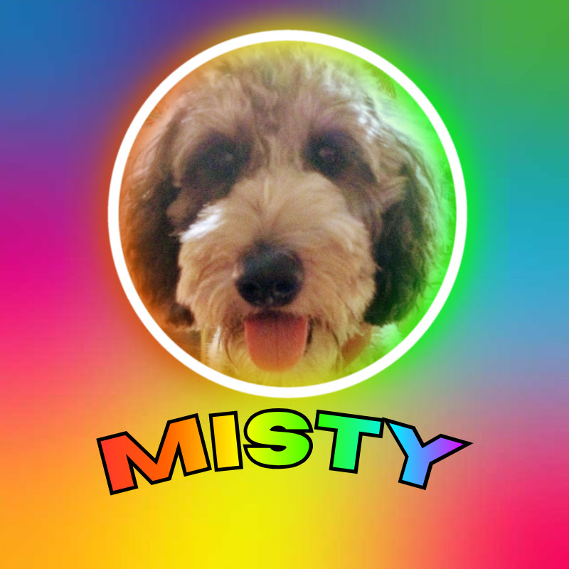 Hire Misty — Pets & Animals YouTube creator for sponsorships