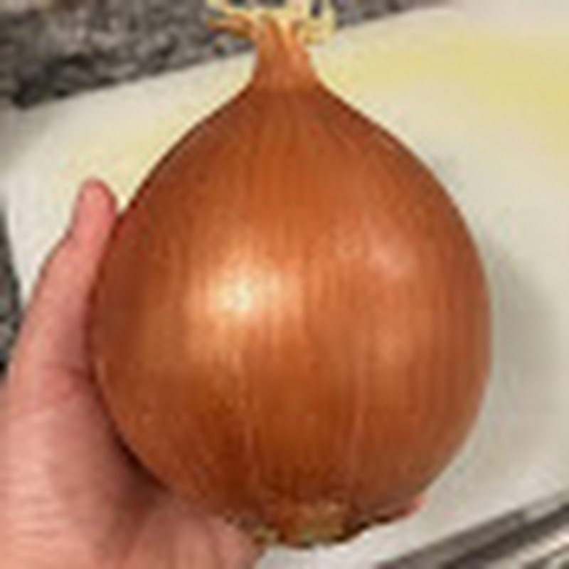 One Giant Onion