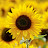 @RelaxingbeautifulNature-x8o