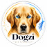vYEULaeIH2Y-channel-avatar-DOGZI
