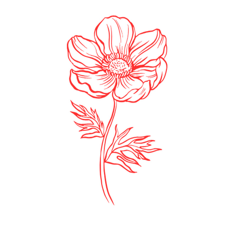  Eye Shadow Tutorials