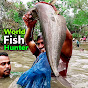 World Fish Hunter logo