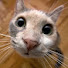 a9TwEDDnCXU-channel-avatar-涙の物語 – 人生の宝箱