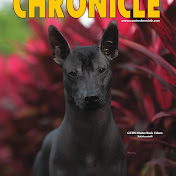 Canine Chronicle