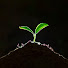 MGC28l_AkKc-channel-avatar-In David’s Name
