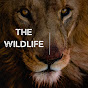 WILDLIFE PREDATORS logo