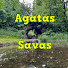 Dntovh1mcfA-channel-avatar-Agatas Savas