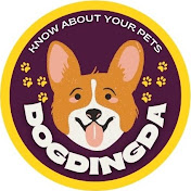 DogDingDa