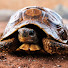 _my25Xeve0c-channel-avatar-Zman's Zoo