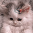 3IpSomTDjAM-channel-avatar-涙の人生物語 and 2 more