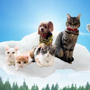 TOTO猫アンドDUFFY犬