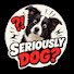 uQwzn1Z67lw-channel-avatar-Seriously Dog?