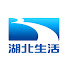 wLA-GV89xPs-channel-avatar-湖北卫视生活频道 China HuBeiTV Life Channel
