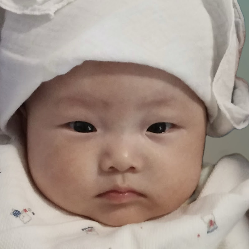 라라파파‘s