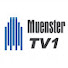 MEBfDdM2gwo-channel-avatar-MuensterTV1
