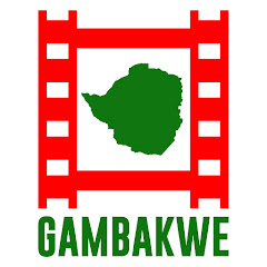 GAMBAKWE MEDIA net worth