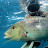 Carmine Nobile spearfishing Salento 