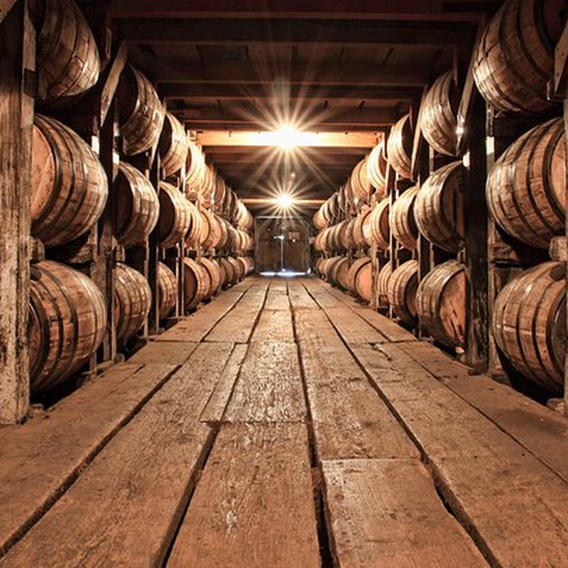 Entre Copas y Barriles 🥃