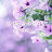 @몽몽-c4b