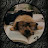 @anthing-g6i Avatar