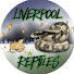 DkIcbyrlYBE-channel-avatar-Liverpool Reptiles