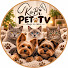 VgOWMEMVx_0-channel-avatar-KoBi Pet TV | dogs & cats