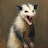 @1AngryOpossum Avatar