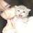 @imzaa-xl9dt