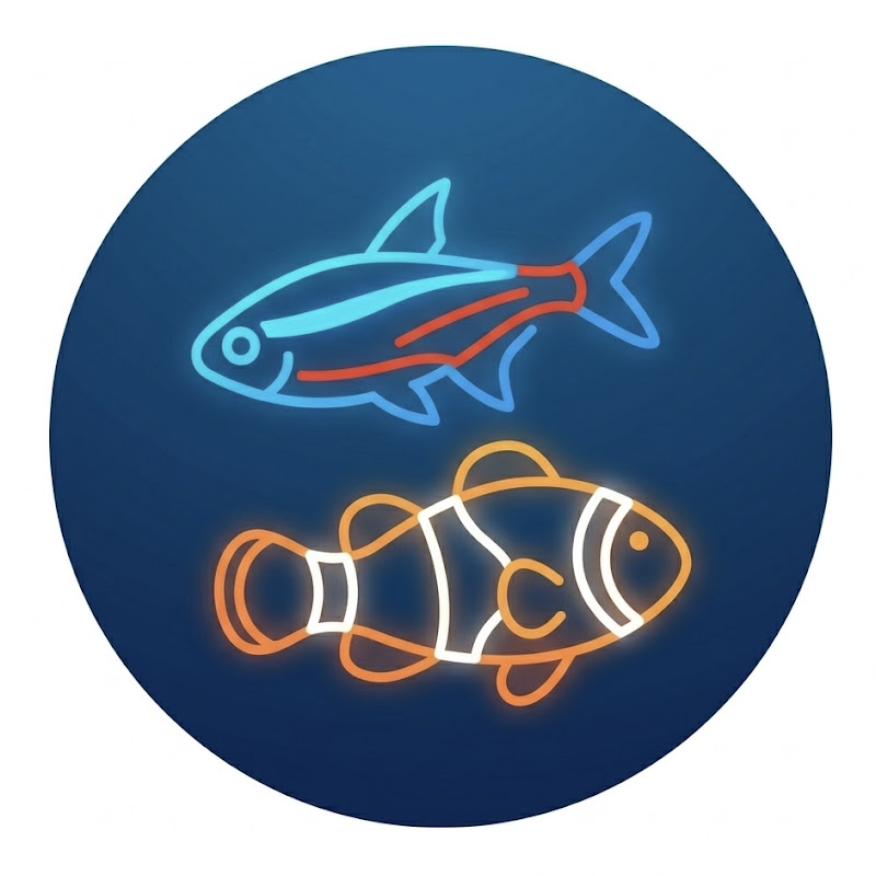 純水チャンネル【アクアリウム】