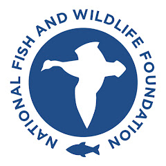 NFWF