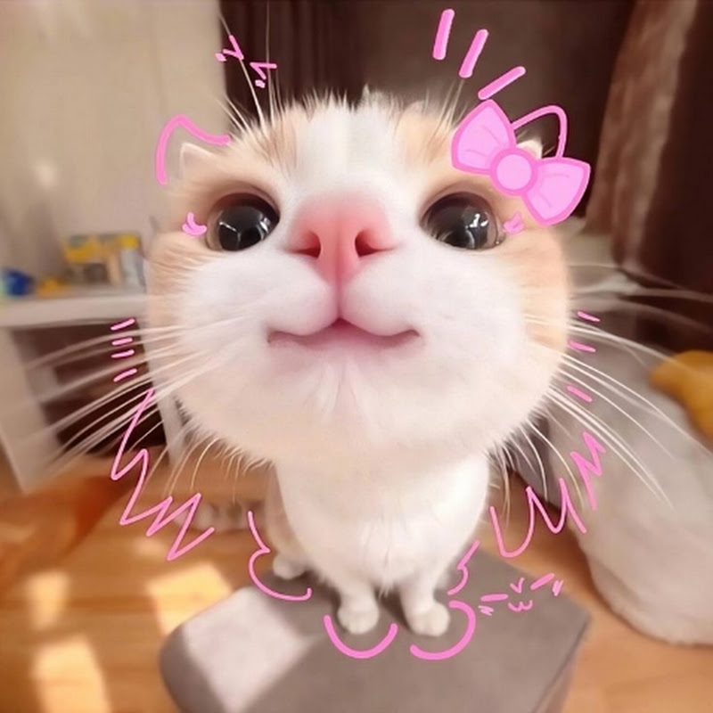 petal_pearl