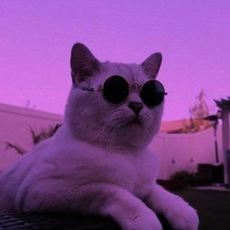 Terminally Chill