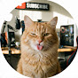 DailyPets&Laughs