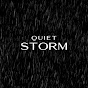Quiet Storm Sleep Therapy logo