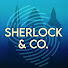 L8Rh4VFPX-g-channel-avatar-SherlockAndCoPod