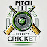 wvbMkwSYGeo-channel-avatar-Pitch Perfect Cricket