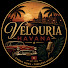 qJV1XH5BeOs-channel-avatar-Velouria Havana