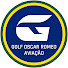wpLbEXnJW7E-channel-avatar-Golf Oscar Romeo® Aviação