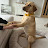 @TheMoaningRambler Avatar