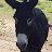 @andyb.1643 Avatar