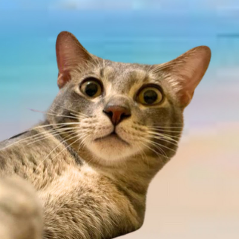 八姨婆吃喝玩樂 Logo