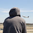 KN2l7j2VdAY-channel-avatar-Spotter of DTW
