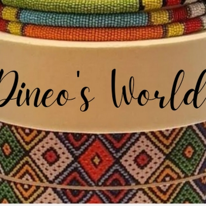Dineo's World