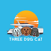 Three Dog Cat